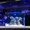 Lichten voor geplant aquarium